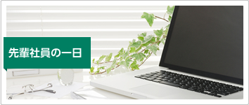 先輩社員の一日